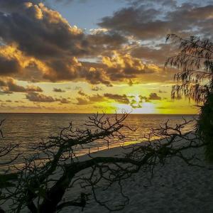 Heron Island